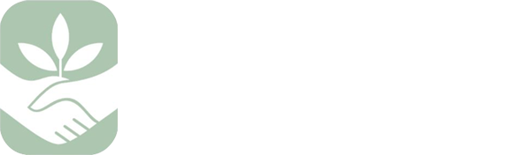 Peace Mediation